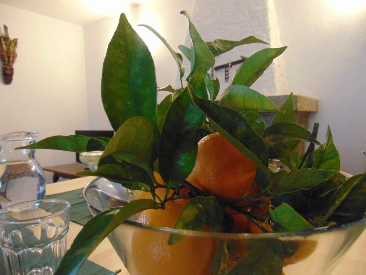 הוילה וילה נובה דה סרביירה Casas Da Loureira - Casa Batatas I מראה חיצוני תמונה